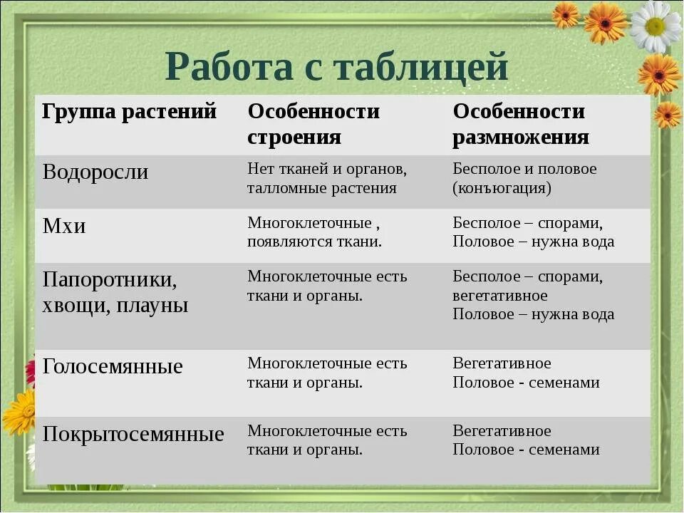 название группы организмов таблица