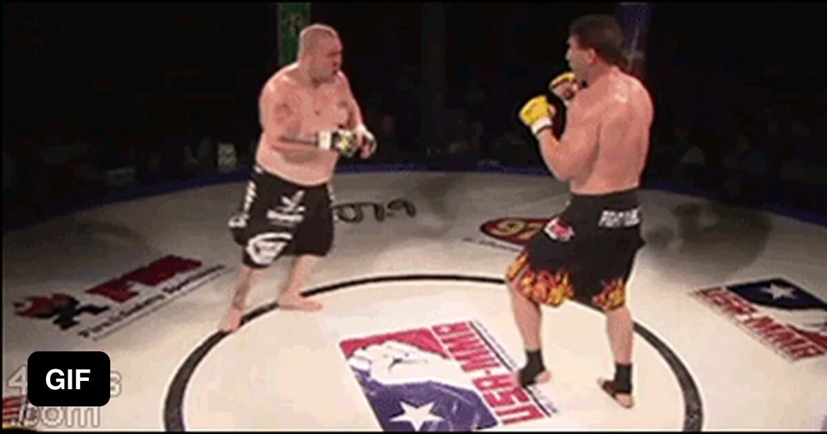 Rolling with the punches