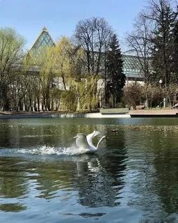 Голицынский парк