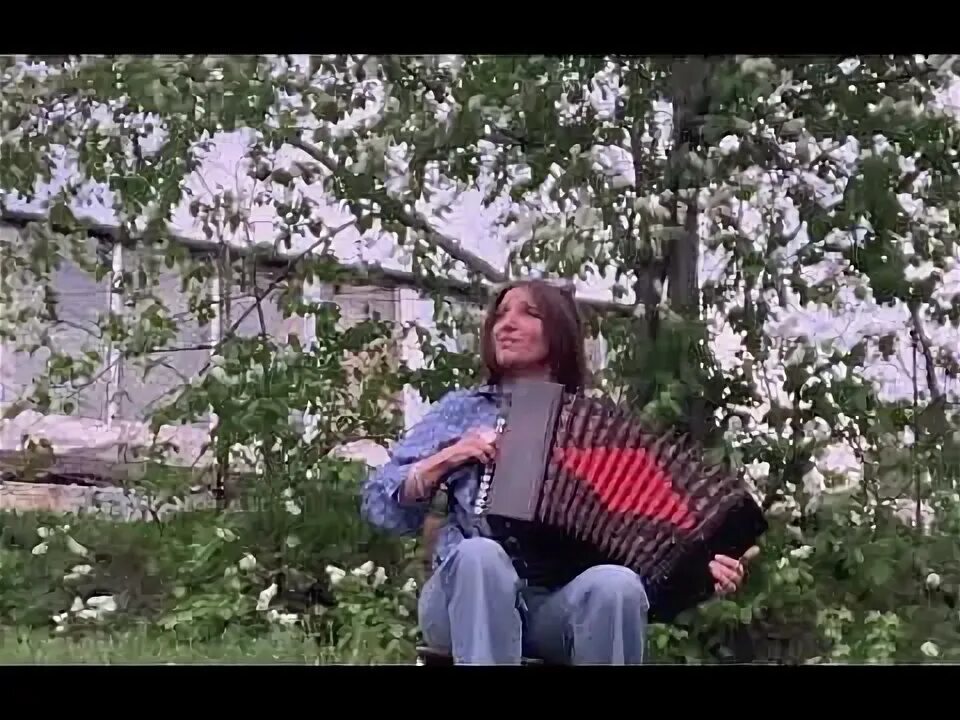 Песня под окном широким вишня слушать. Черёмуха цветёт к похолоданию. расцвели саратовские вишни песня. цветет черемуха к похолоданию ноты для баяна.