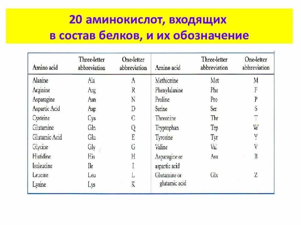 Количество белковых аминокислот. Сокращения аминокислот таблица. 20 Аминокислот таблица аминокислоты. 20 Аминокислот названия. 20 Аминокислот входящие в состав белков.