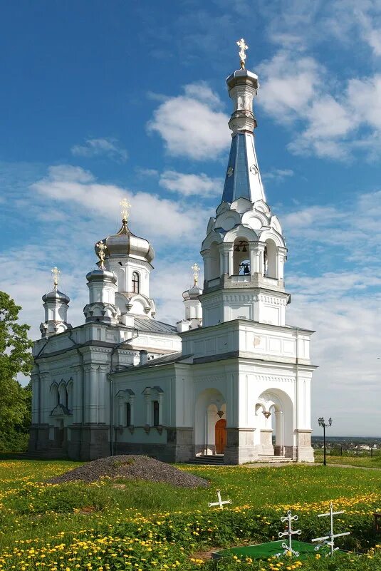 Низино в контакте. Церковь Александры царицы в Низино. Церковь Святой мученицы царицы Александры. Церковь Святой мученицы царицы Александры в Низино. Церковь в Низино Ломоносовского района.