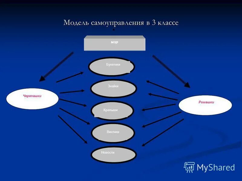 Модель органа самоуправления