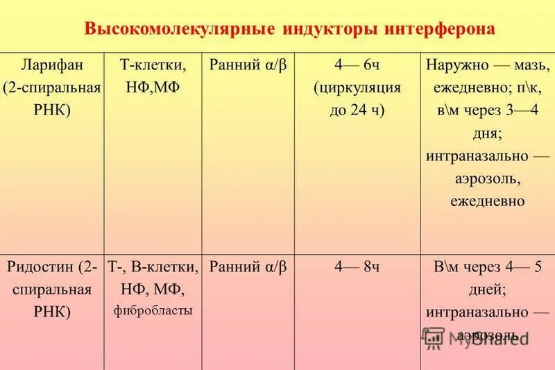 Функциональная активность клетки