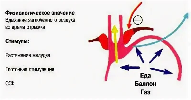 Стимуляция баллоном