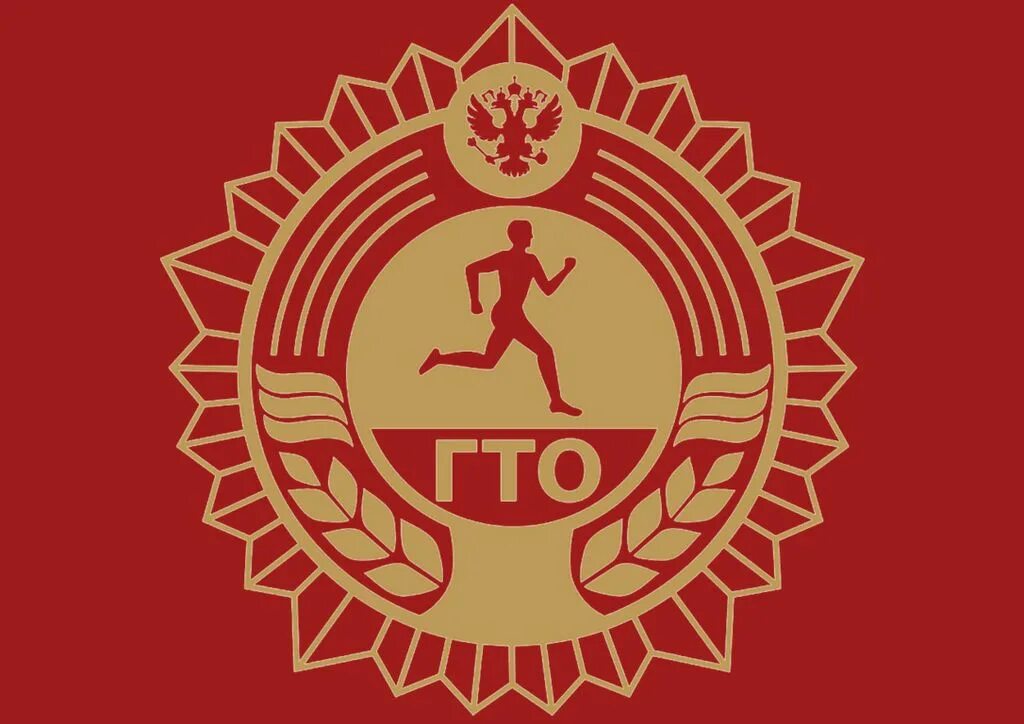 Допуск к сдаче гто. Спорт гто. Золотой значок гто 5 ступень. Значки гто 2023. Спортивные значки гто.