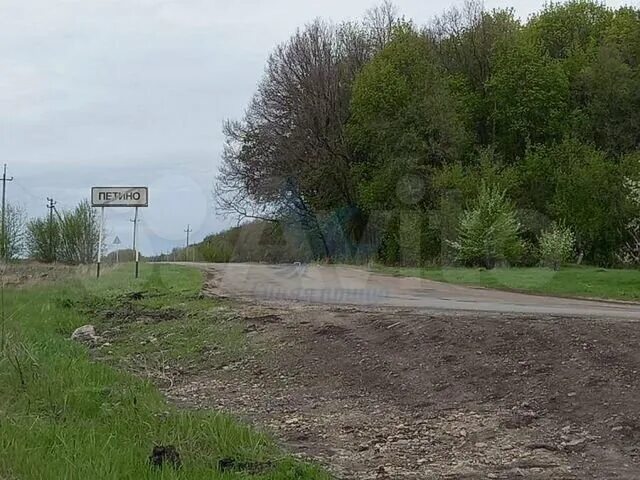 Погода петино воронеж. Петино воронежская область фото. Погода петино воронеж. Петино воронежская область. Петино воронежская область.