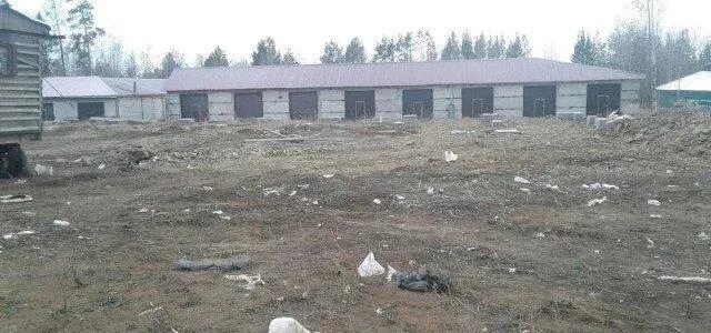 Дачи усть-илимск коммунальник. Иркутская область, усть-илимск. Снт кедр усть-илимск. Введенская слобода казань пляж. Посёлок чугуевка приморский край.