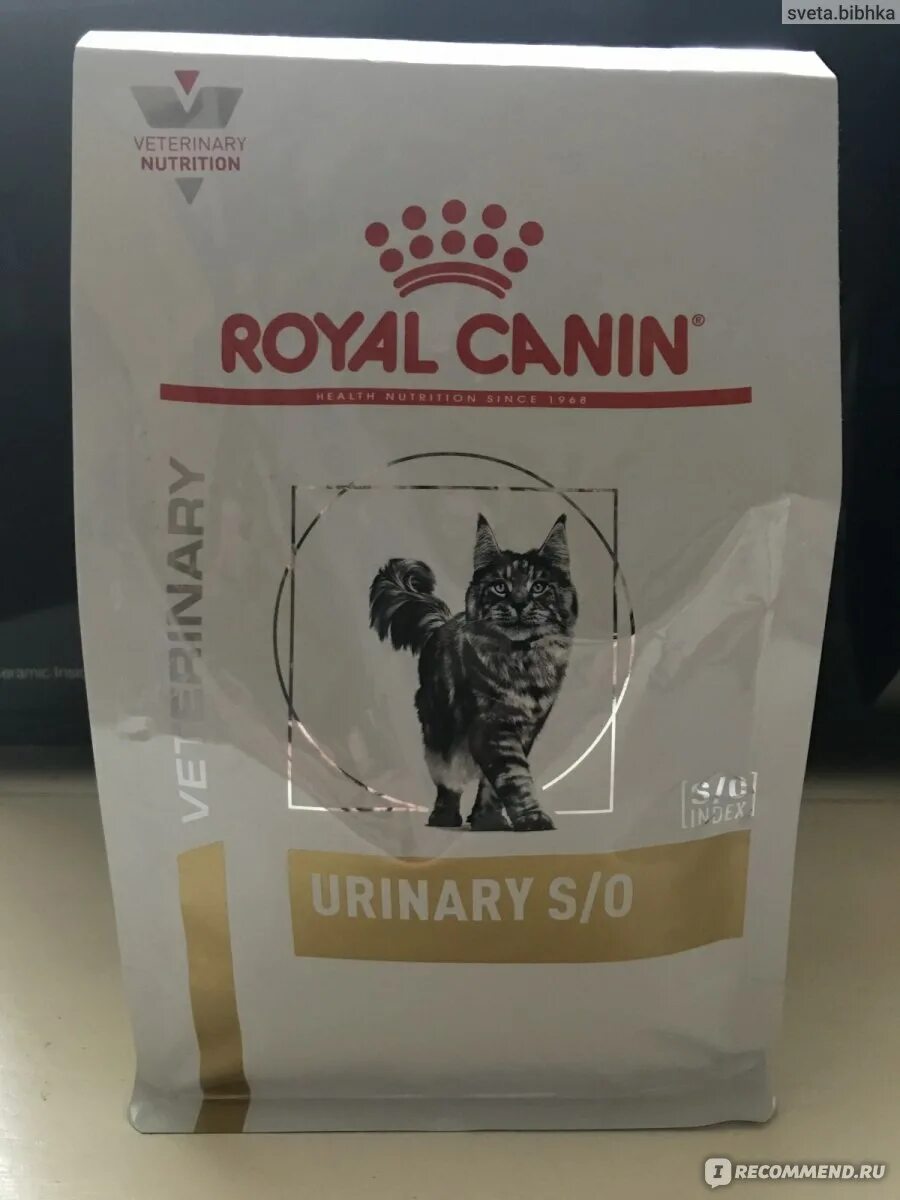 Royal canin для кошек мкб. Роял Канин мочекаменная болезнь. Роял Канин для кошек с мочекаменной болезнью. Роял Канин для кошек мкб. Корм Роял Канин при мочекаменной болезни кошек.