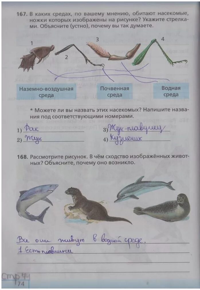 Биология 5 класс рабочая тетрадь стр 74. Домашнее задание по биологии. Рабочая тетрадь по биологии 5 класс Сонин Плешаков 5. Биология 5 класс рабочая тетрадь стр 90