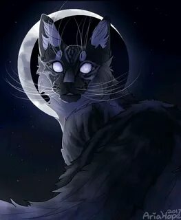 Кошка полночь