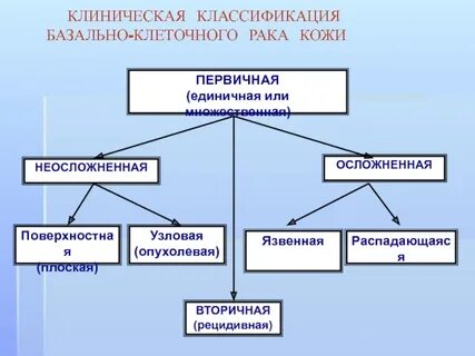Классификация кожи