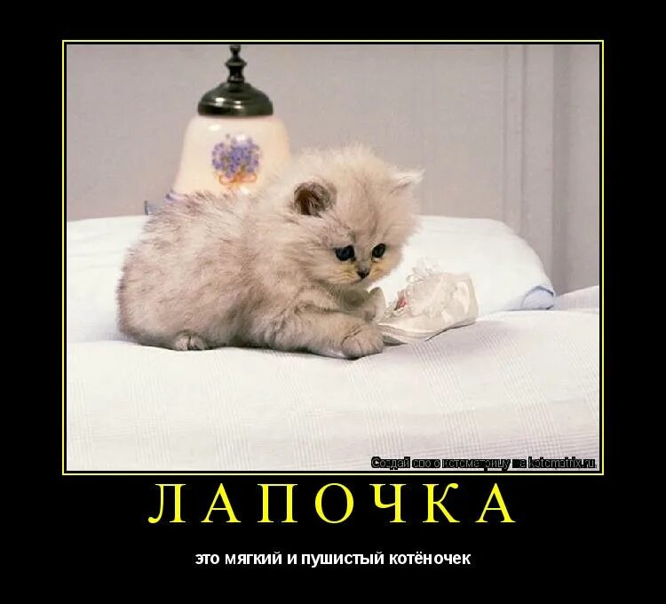 лапочка это