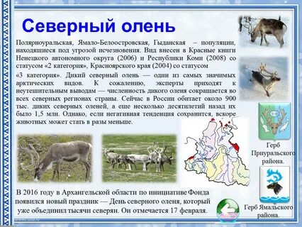 Северный олень в какой природной зоне обитает