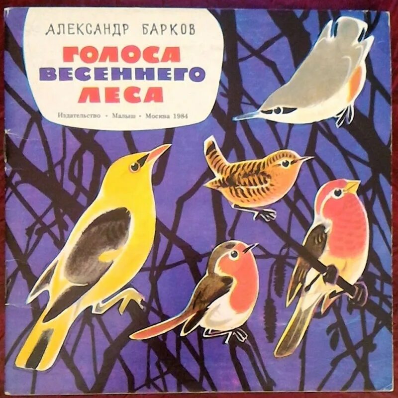 Голоса леса поют. А. Барков «голоса леса».. Голоса весеннего леса книга.