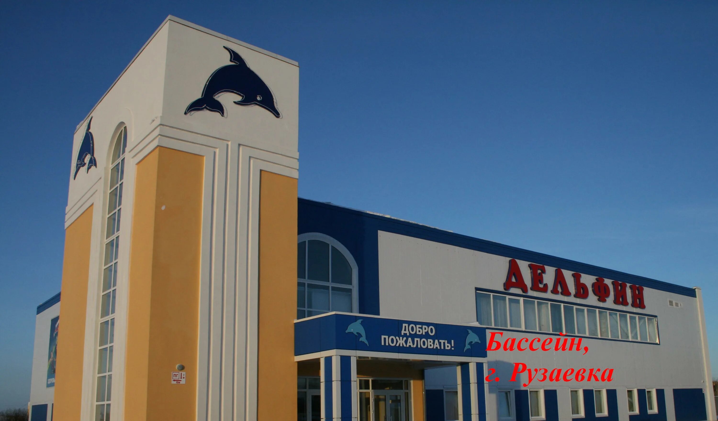 дельфин рузаевка. бассейн школа 211 дельфин. дельфин рузаевка. дельфин рузаевка. бассейн дельфин владивосток.