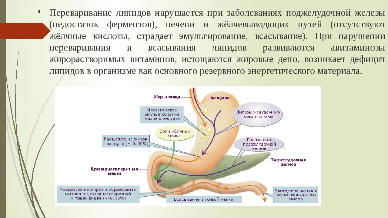 Почему происходит расщепление