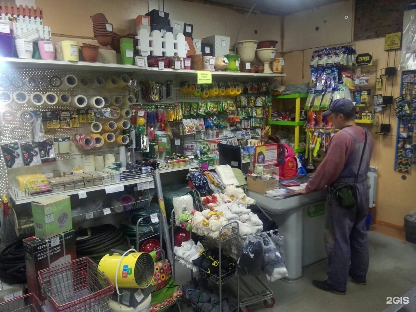 Ant shop. Кампонотус саксатилис. Значок ico мирмикипер муравей. Магазин муравей комсомольск на амуре. Динопонера гигантская муравей.