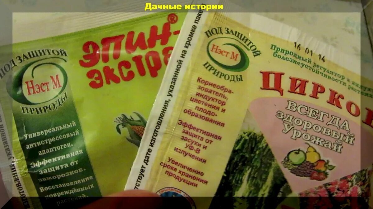 Эпин-экстра для комнатных растений орхидей. Эпин. Эпин и циркон. Эпин циркон разница. Эпин или циркон.