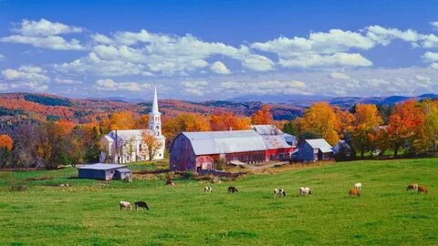 Country side