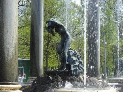 Львиный каскад петергоф