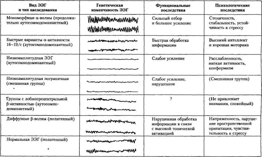 Ээг характеристика. Волны на ЭЭГ расшифровка. Методы исследования электрической активности мозга. Методы исследования мозга таблица. Типы ЭЭГ-электродов:.