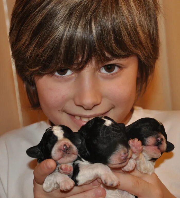 Фото собак мальчиков. Новорожденные щенки. Щенок мальчик. Мальчик с маленьким щенком. Новорожденные щенки и мальчик.