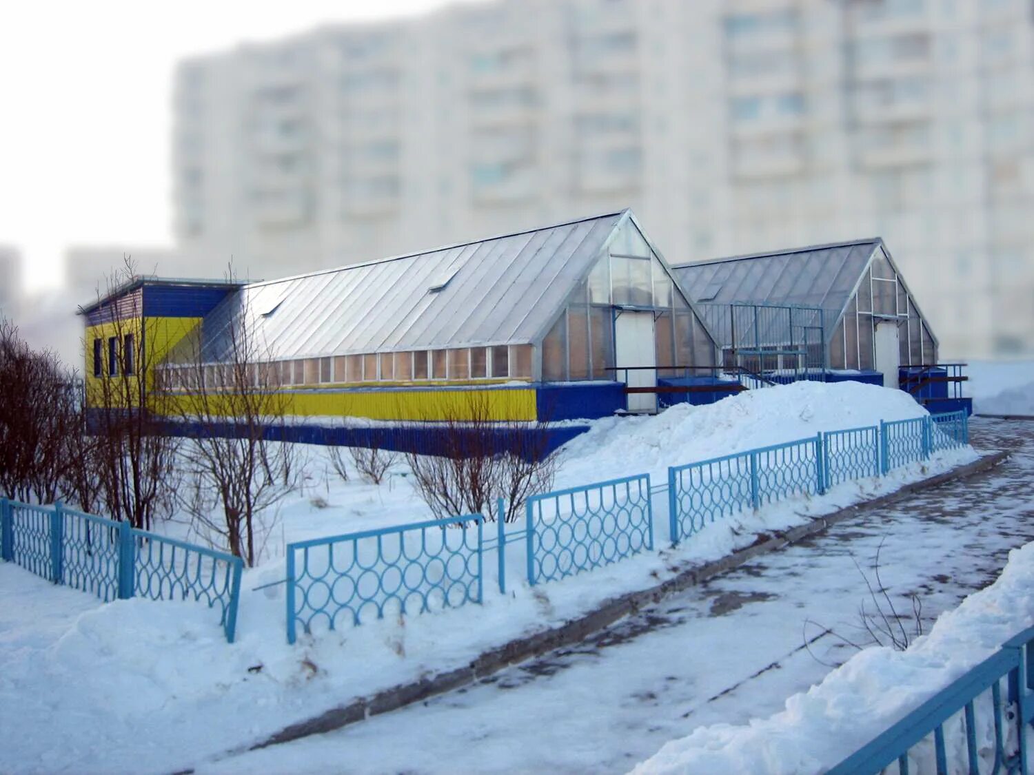 Красный горн полярный. Полярный красный горн 14. Полярный мурманская область красный горн. Мурманская область город полярный ул. Остров екатерининский мурманская область.