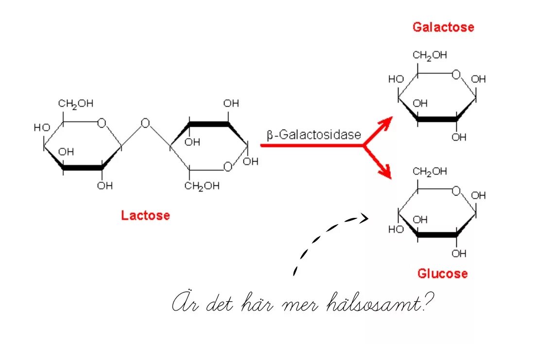 Бета-галактозидаза фермент. Альфа-галактозидаза фермент. Бета галактоза формула. Β-галактоза.