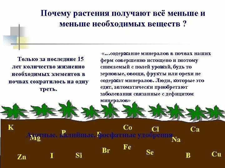 Человек получает от растений. Что растения получают. Растение почему а. Растения получают всё необходимое из. Почему растения растущих в горах низкий рост.