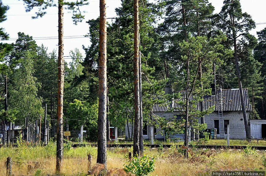 Погода в большой ижоре. Большая Ижора развалины. Большая Ижора пляж. Большая Ижора бараки. Большая Ижора зимой.