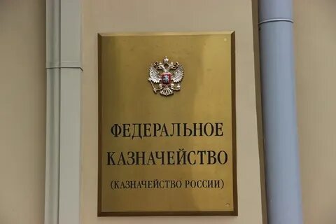 Казначейство аудит