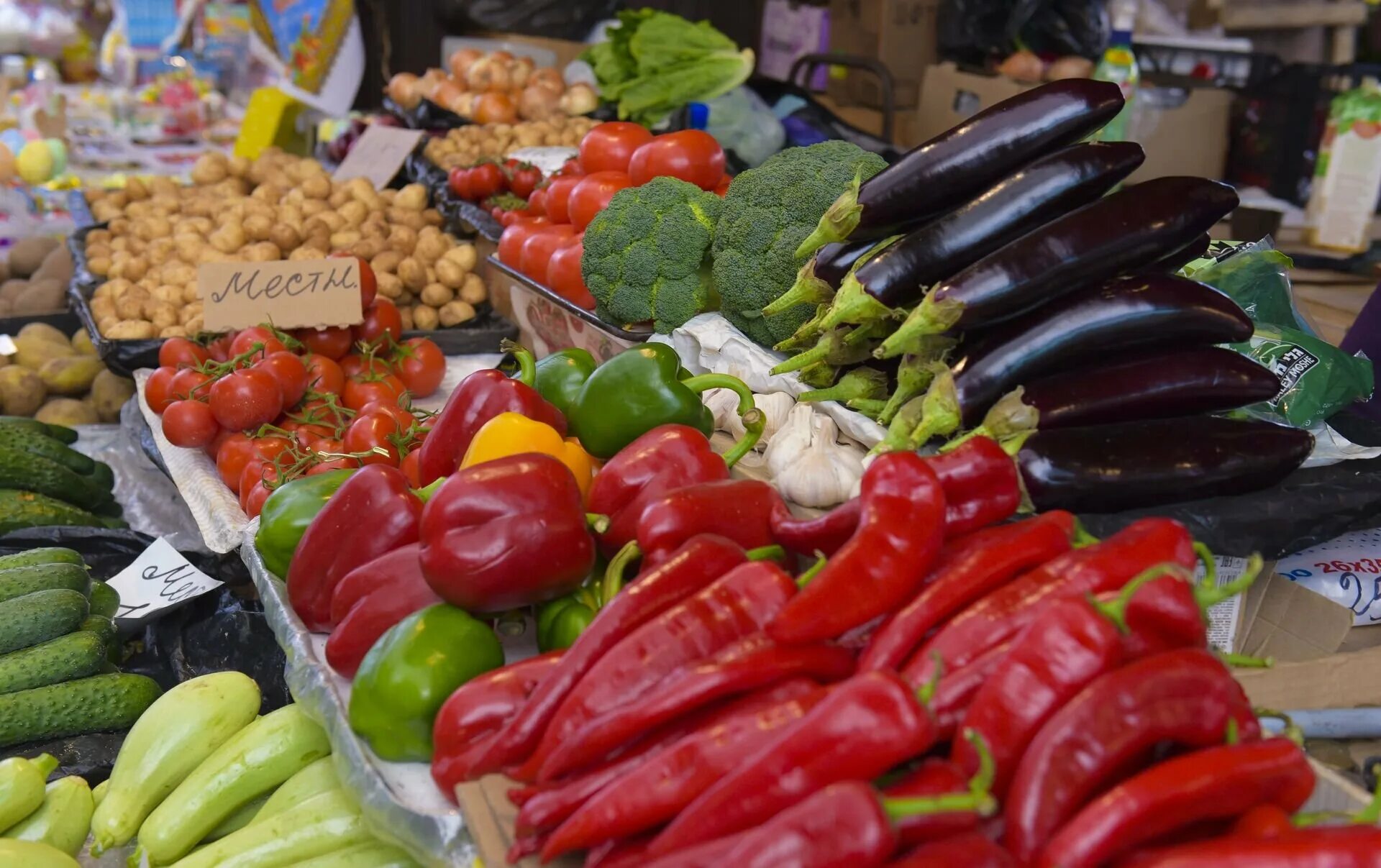 Овощи на рынке. Овощи и фрукты на рынке. Овощи на прилавке. Продукты на рынке. Vegetables market