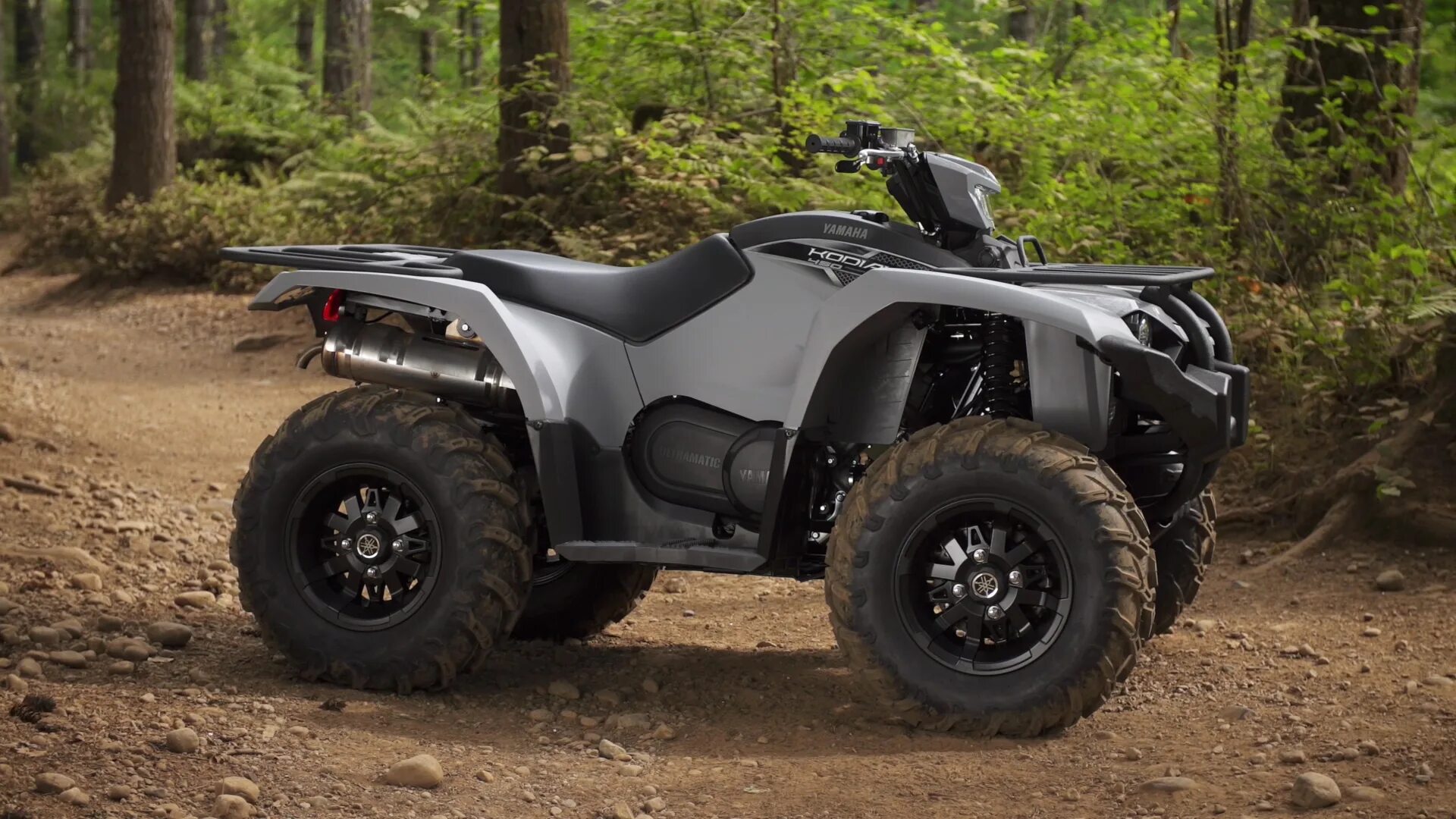 Квадроцикл yamaha kodiak 450. Yamaha гризли 700. Yamaha grizzly 700. Yamaha grizzly 450. Yamaha гризли 700.