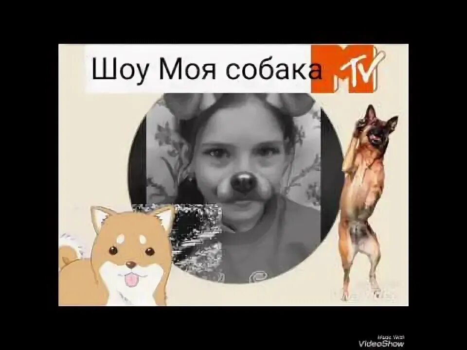 Сестренка вики шоу. Вики шоу моя собака. Чери у вики шоу. Вики шоу собачка. Вики шоу со своей собакой.