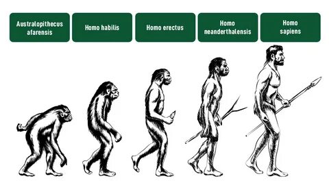 Stage of history