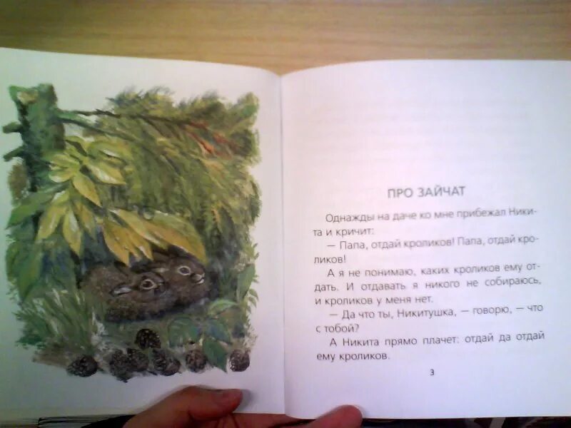 Е.Чарушин про зайчат рассказ. Чарушина Зайчата. Рассказ про зайчат Чарушин. Рассказ про зайчонка