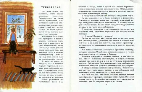 Из моего окна читать