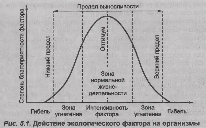 Интенсивность действия факторов среды 9 класс. Закономерности влияния экологических факторов на организмы. Схема действия фактора среды на организмы. Зависимость организмов от факторов среды. Зависимость действия экологического фактора.