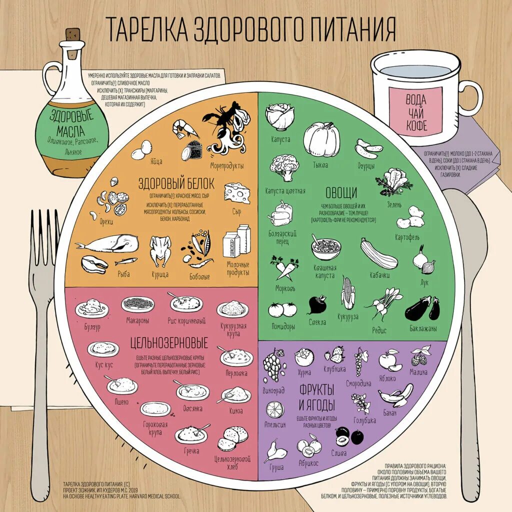 Что происходит тарелка. Гарвардская тарелка здорового питания. тарелка правильного питания гарвардская. правильная тарелка питания схема. питание по правильной тарелке.