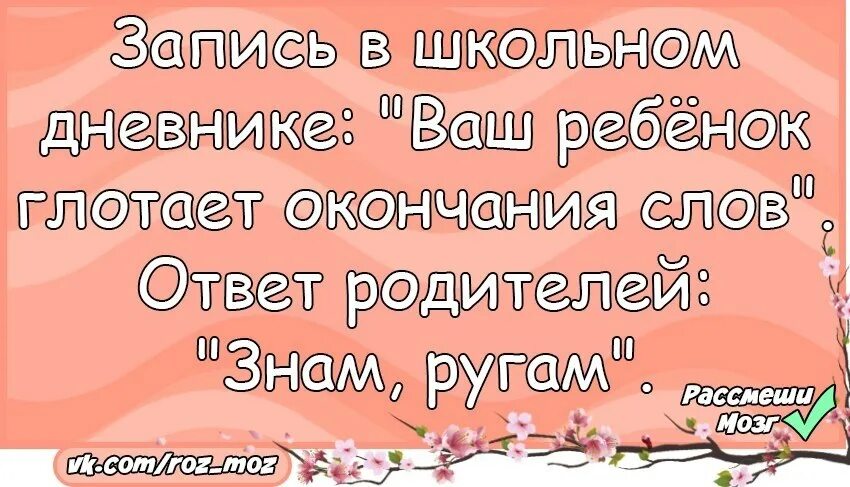 Двух не вынесет. Анекдоты про свадьбу. Анекдоты про соседей. Анекдоты Свадебные смешные. Смешные анекдоты про свадьбу.