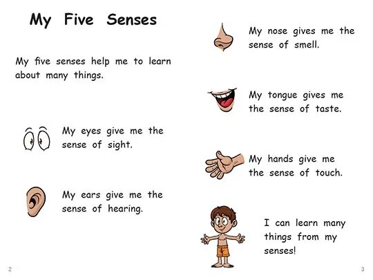 Улыбаюсь sixth sense текст. Five senses poem. 5 Senses poem. Senses poem for Kids. Five senses for Kids.