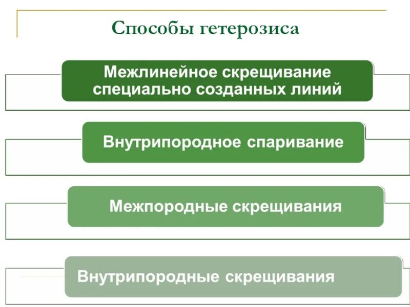 Межлинейное скрещивание пример. Межлинейное скрещивание в селекции. Методы межпородное скрещивание.