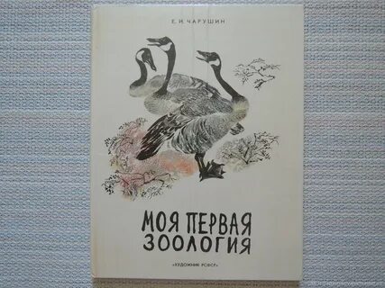 Моя первая зоология 3 класс литературное чтение