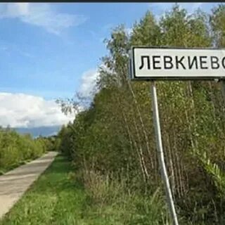 Погода в левкиево шаховская