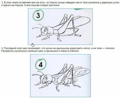 Кузнечик схема