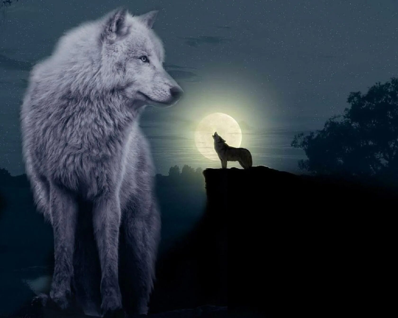 Одинокая волчица белый песня. Белая волчица. Волк одиночка. Одинокий волк. Одинокие волки.