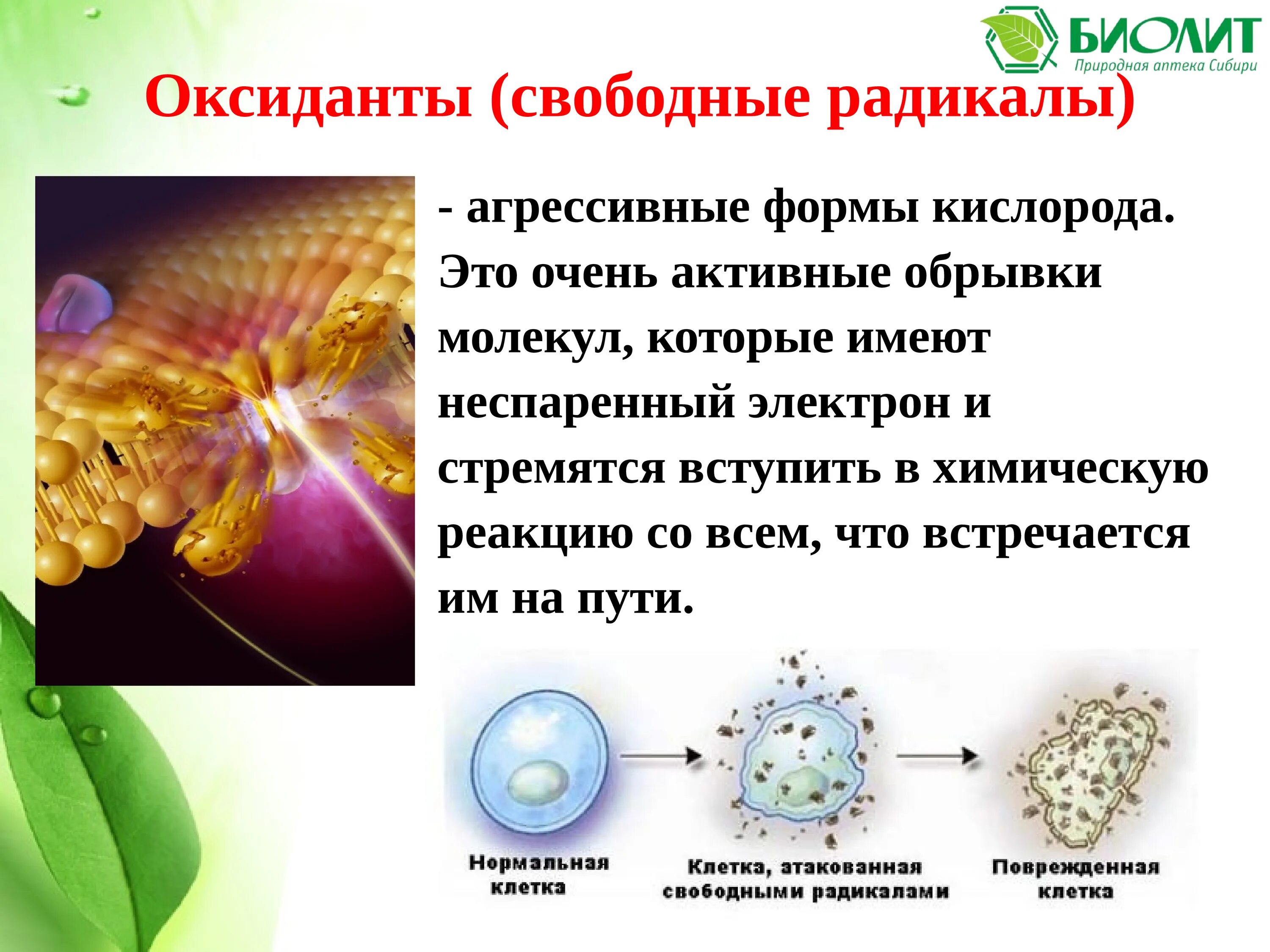 Свободные радикалы. Свободные радикалы в организме. Оксиданты и свободные радикалы. Свободные радикалы и антиоксиданты. Кожей радикал