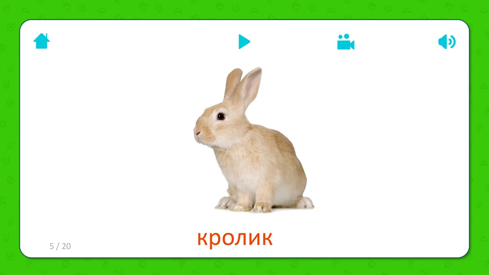 Слова кроль. Стили спортивного плавания кроль на груди. Стили плавания в бассейне кроль. Кроль (плавание) стили плавания. Слова кроль.