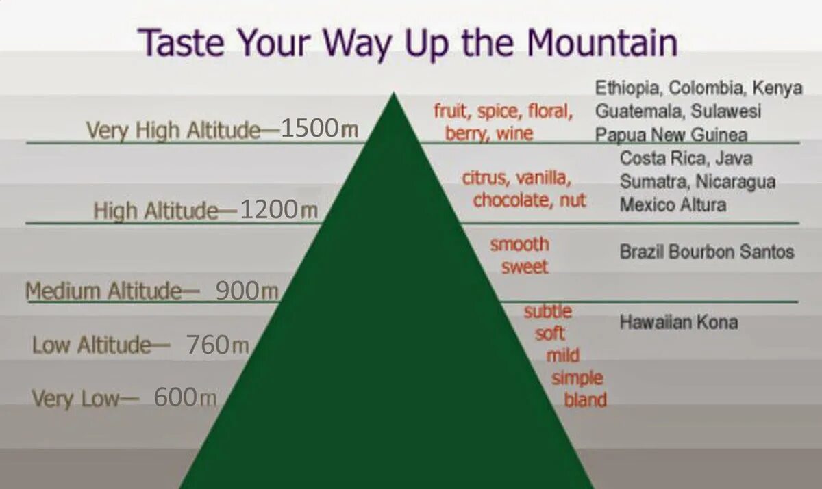 Altitude перевод. Альтитуда. Altitude кофе что означает. Альтитуда нима.